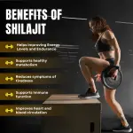 Ayurmed Himalayan Shilajit Capsules