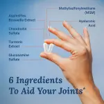 Daitea MoveWell Glucosamine Chondroitin Capsules