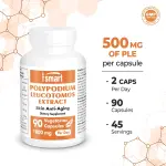 Polypodium Leucotomos Extract Capsules