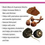 Sexual Wellness Libido Booster