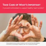 EZ Melts CoQ10 Heart Health Tablets