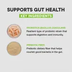 VitaHustle Probiotic Gummy Supplement