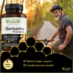 Berberine Phytosome Capsules