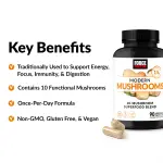 Force Factor Modern Mushrooms Capsules