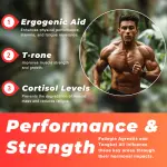 Fadogia Agrestis & Tongkat Ali Capsules