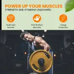 Delicious Creamy Vanilla Protein Powder