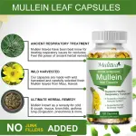 Mulittea Mullein Leaf Capsules