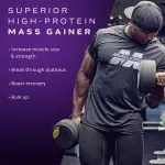 Muscletech Mass Gainer Protein Powder Supplements