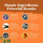 Herbal Thyroid Support Complex Capsules