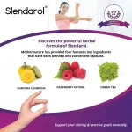 Slendarol Diet Coffee Bean Capsules