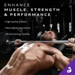 Muscletech Mass Gainer Protein Powder Supplements