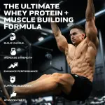 NitroTech Whey Protein Powder Supplements