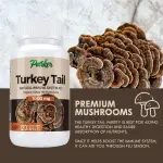 Turkey Tail Mushroom Capsules