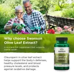 Olive Leaf Extract Capsules