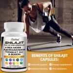 Pure Shilajit Ashwagandha Supplement