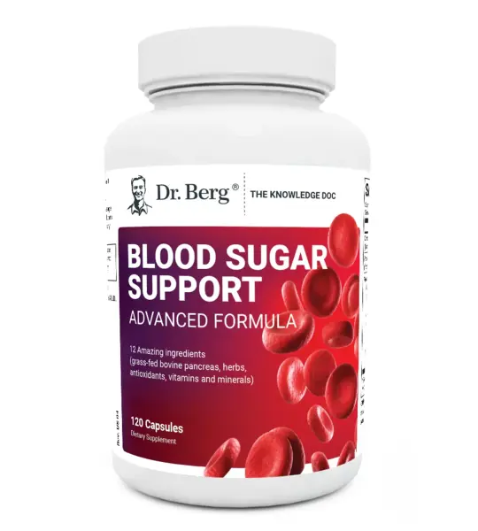 Dr. Berg Blood Sugar Support