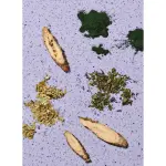 Hilma Indoor/Outdoor Support