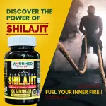 Ayurmed Himalayan Shilajit Capsules