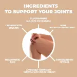 Daitea MoveWell Glucosamine Chondroitin Capsules