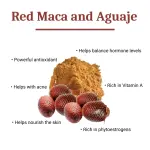 Fertility & Menstrual Support Capsules