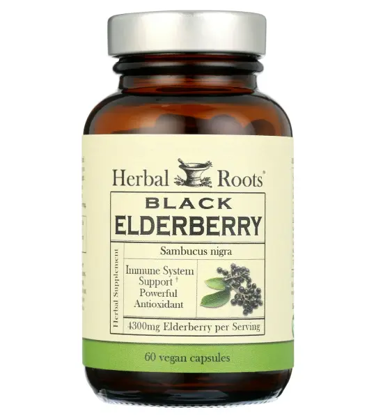 Elderberry fruit powder Capsules