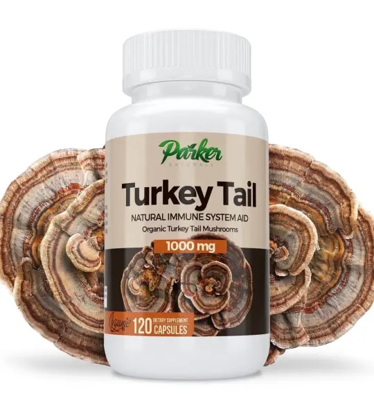 Turkey Tail Mushroom Capsules