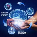 Xemenry Mushroom Complex 1995mg Capsules