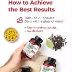 Didacat Berberine Black Paper 1200mg Capsules